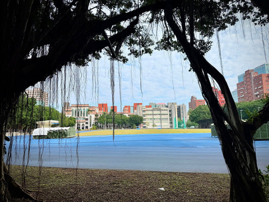 A Blue-Skied Saturday