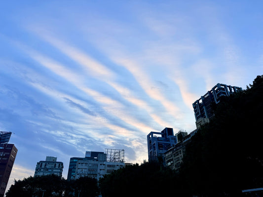 A Scintillant Wednesday