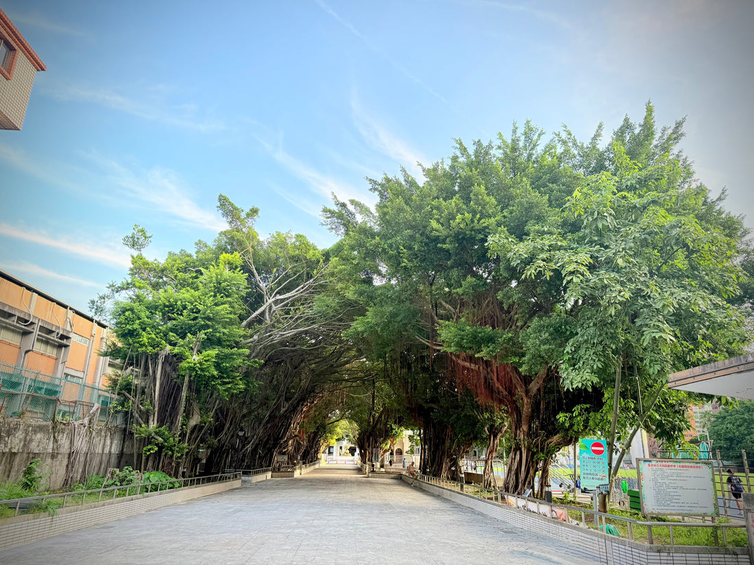 Thursday of A Short Week