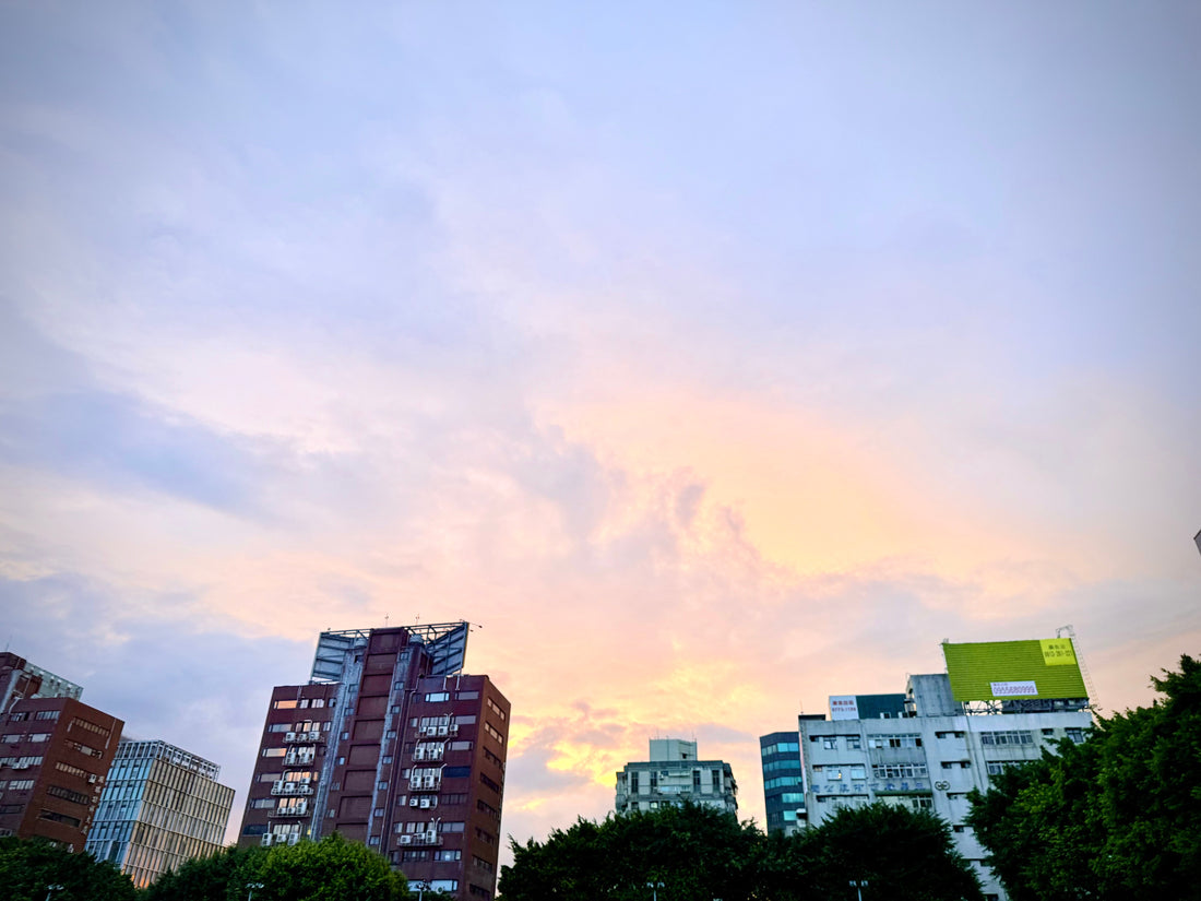 A Bright Friday After Rain