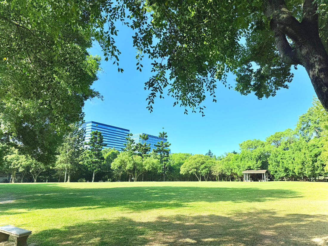 A Surprised & Busy Saturday