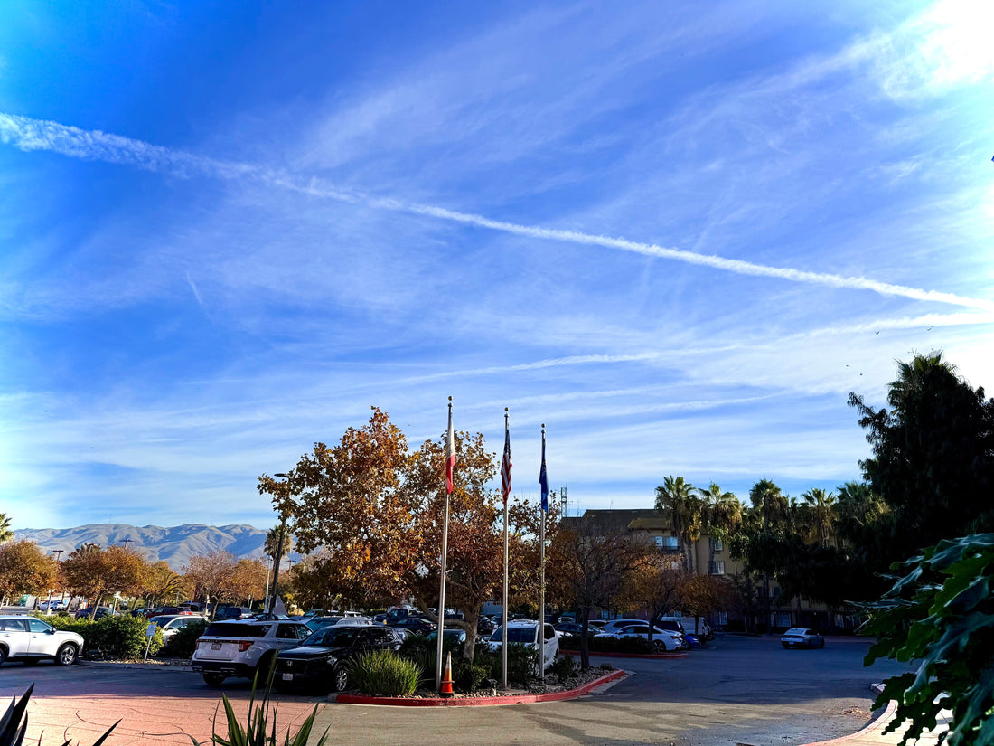 A Busy Monday in NorCal