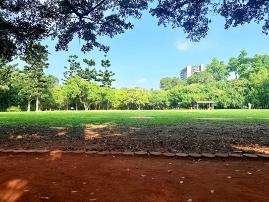 A Bright Tuesday