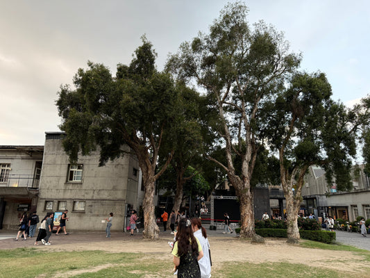 Huashan 1914 Creative Park 華山文創